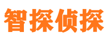 新市市侦探调查公司